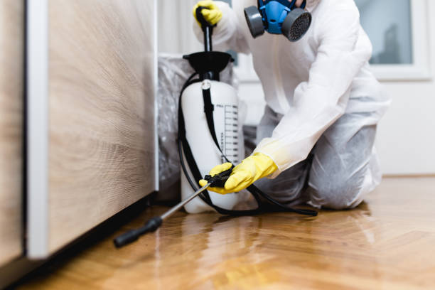 Best Pest Control Near Me  in Bardmoor, FL