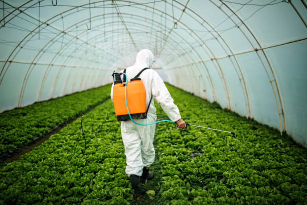 Best Pest Prevention Services  in Bardmoor, FL