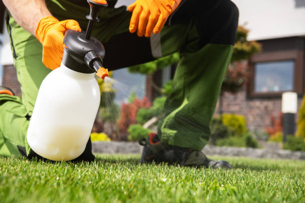 Best Pest Removal Services  in Bardmoor, FL