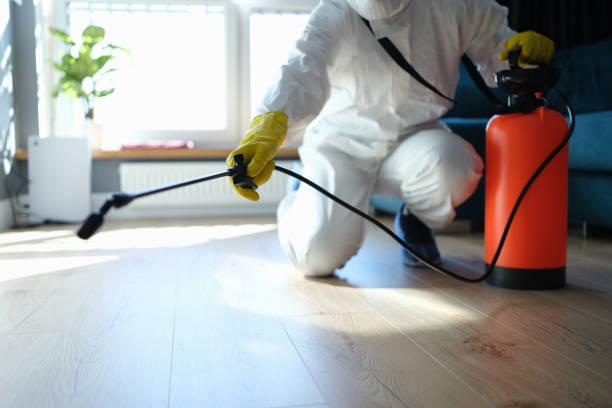 Best Best Pest Control Companies  in Bardmoor, FL