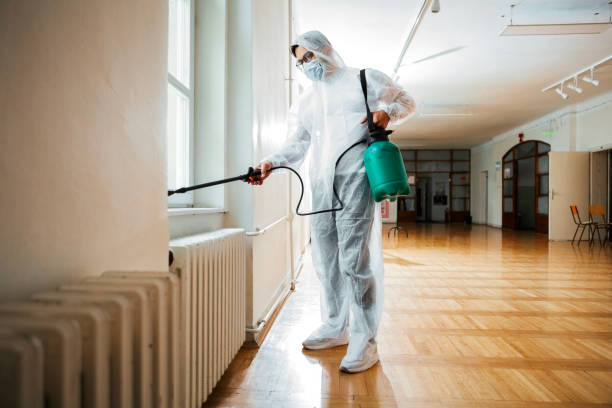 Best Mosquito Control Services  in Bardmoor, FL