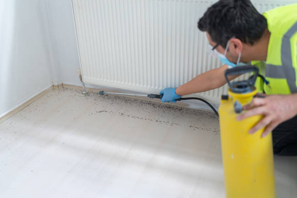 Best Termite Control Services  in Bardmoor, FL