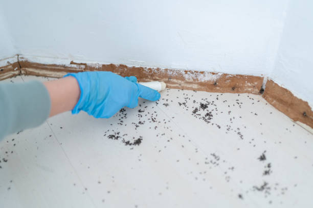 Best Commercial Pest Control Services  in Bardmoor, FL