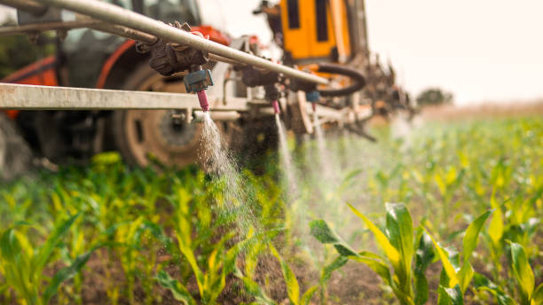 Best Ant Control Services  in Bardmoor, FL